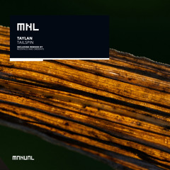 Tailspin (Redspace Remix)