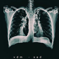 vdm - sad