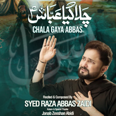 Chala Gaya Abbas (a.s)  --  Syed Raza Abbas Zaidi  --  2025