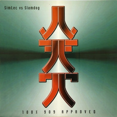Simtec & Slamdog - This Record