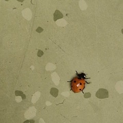 waiting for this moment