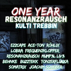 1Year Resonanzrausch (Setcut)
