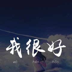 刘大壮 - 我很好 (吉他版)「我很好，只是偶尔遗憾会从眼里掉」【動態歌詞/pīn yīn gē cí】