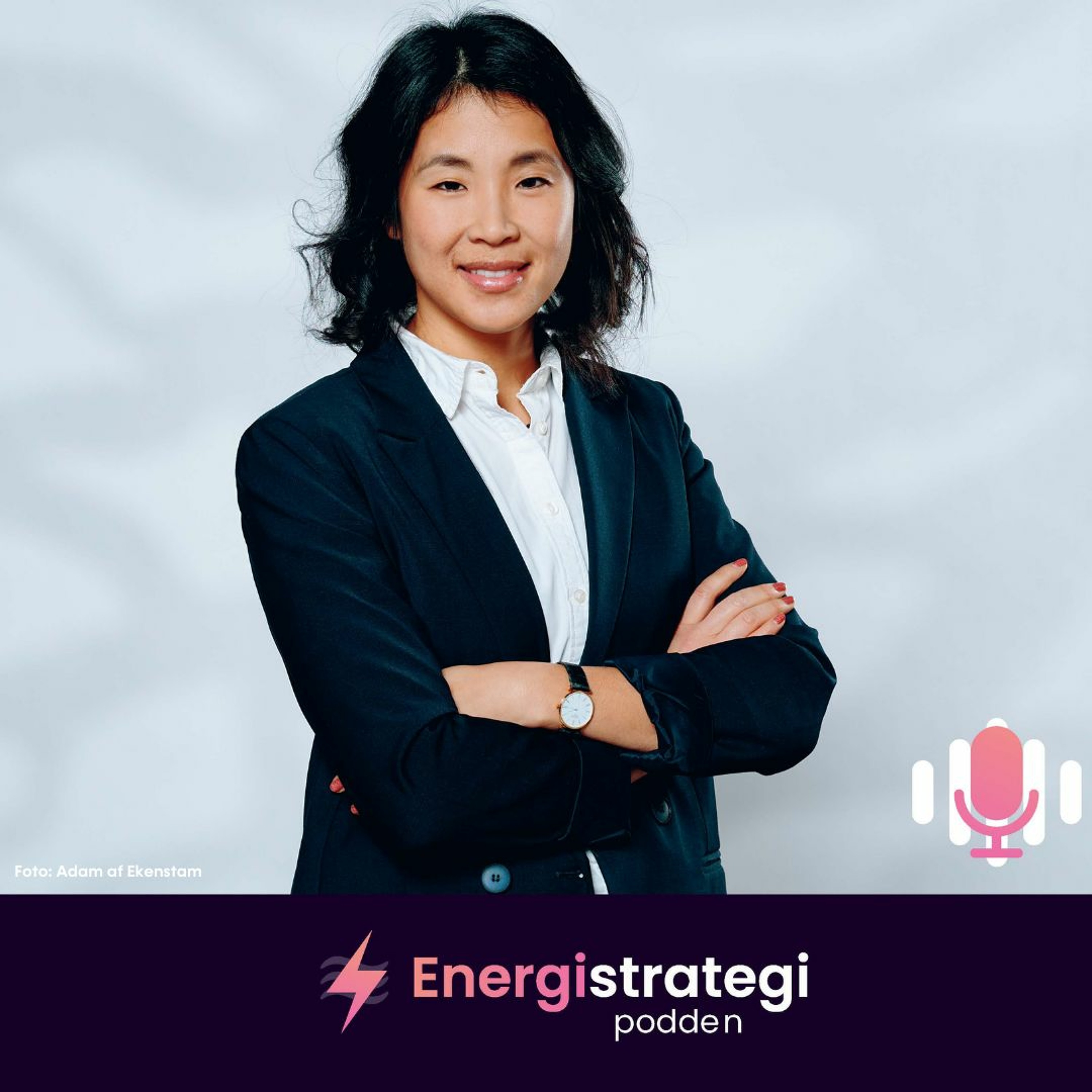 #84 - EnergiStrategiPodden fokuserar på... kriget i Europa med Rebecka Bergholtz, Energimyndigheten episode artwork