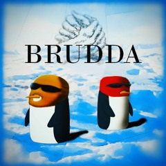 BRUDDA
