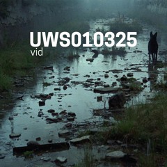 VID - Live on ultrawizardsword.net (01-03-25)