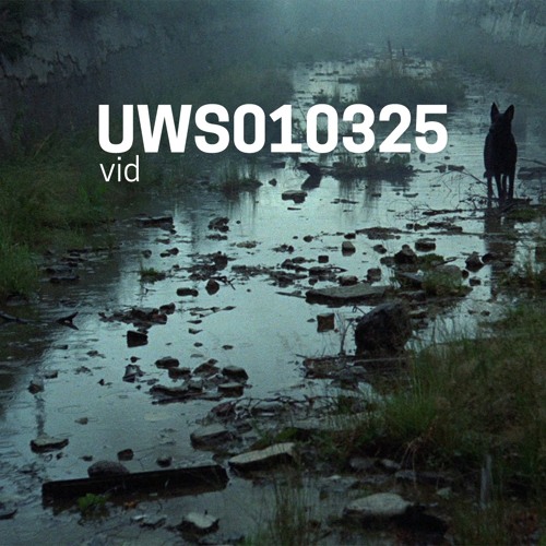 VID - Live on ultrawizardsword.net (01-03-25)