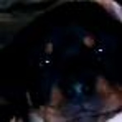 Tic Tekk Toe (TEKK Mashup)