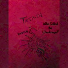 Weedmayn Intro (feat. J Thrax)