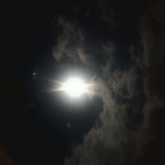 папа тімофея