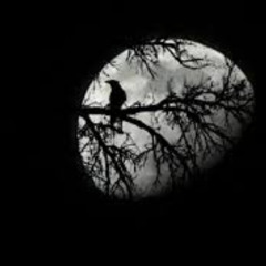 HIP HOP FLOP // FIRST ARSCH