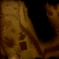 Little tiny grass that you can not see