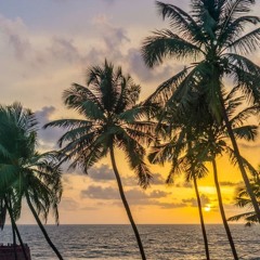 Dj Steve Ronan- Old School GOA trance : (Tales Of Anjuna 1990-1999 )