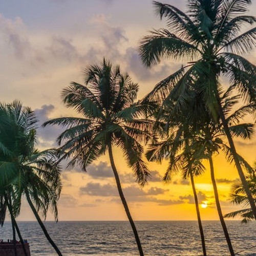 Goa 9