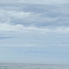 아련한 동양풍 (Hazy Oriental Music) / 뉴 에이지 (New Age) Instrumental - Calm Flow (Prod. $ky Wide)