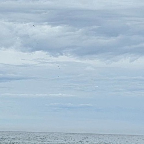 아련한 동양풍 (Hazy Oriental Music) / 뉴 에이지 (New Age) Instrumental - Calm Flow (Prod. $ky Wide)