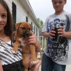 Bad man prod cartier