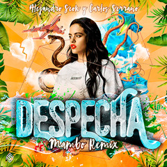 Rosalía - Despechá (Carlos Serrano & Alejandro Seok Mambo Remix)