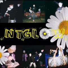 NT GLOW-花 ONEWAVYY ZK REDDISH ANTSY