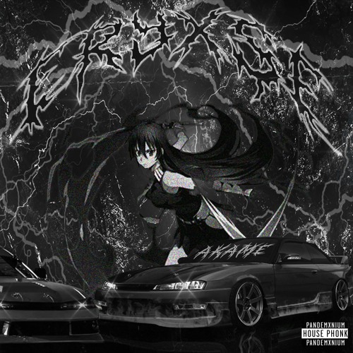eryxse x pandemxnium - akame