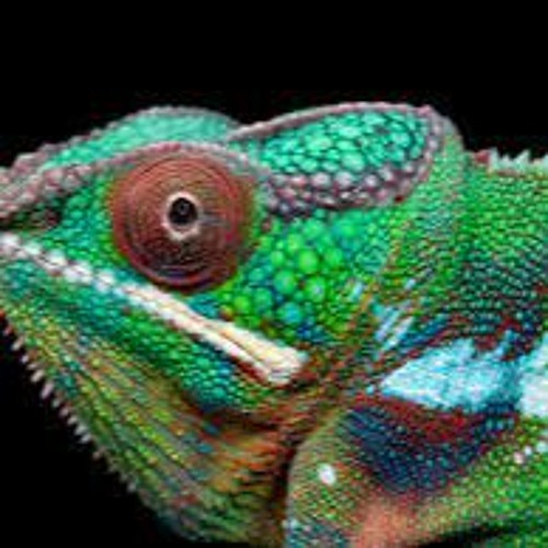 Everything Everything - No Reptiles new remix