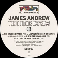 James Andrew - The D Floor Express (NBN003)