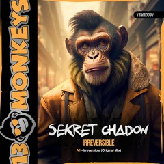 Sekret Chadow - Irreversible (Original Mix)