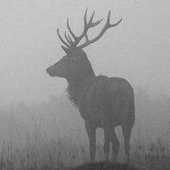 The Ballad of the Forty-Four Pointed Red Deer.m4a