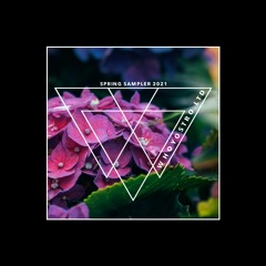 VA - Spring Sampler 2021 [WHLTD169]