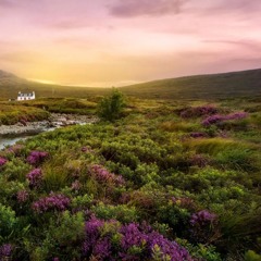 Folk Fantasy No. 1 - Wild Mountain Thyme