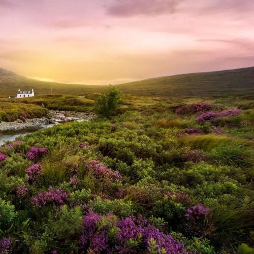 Folk Fantasy No. 1 - Wild Mountain Thyme