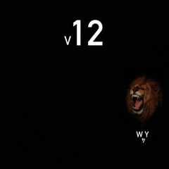 W4Y- v12