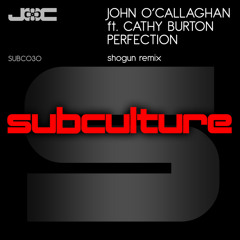 John O' Callaghan feat. Cathy Burton - Perfection (Shogun Remix)