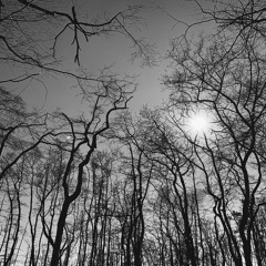 OPETH - FOR ABSENT FRIENDS - DELIVERANCE 18th ANNI