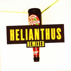 Wir Wollen Nicht So Sein Wie Wir (Lennardoe Remix)