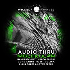 Audio Thru - Molekular (Dolica Remix) [WWR]