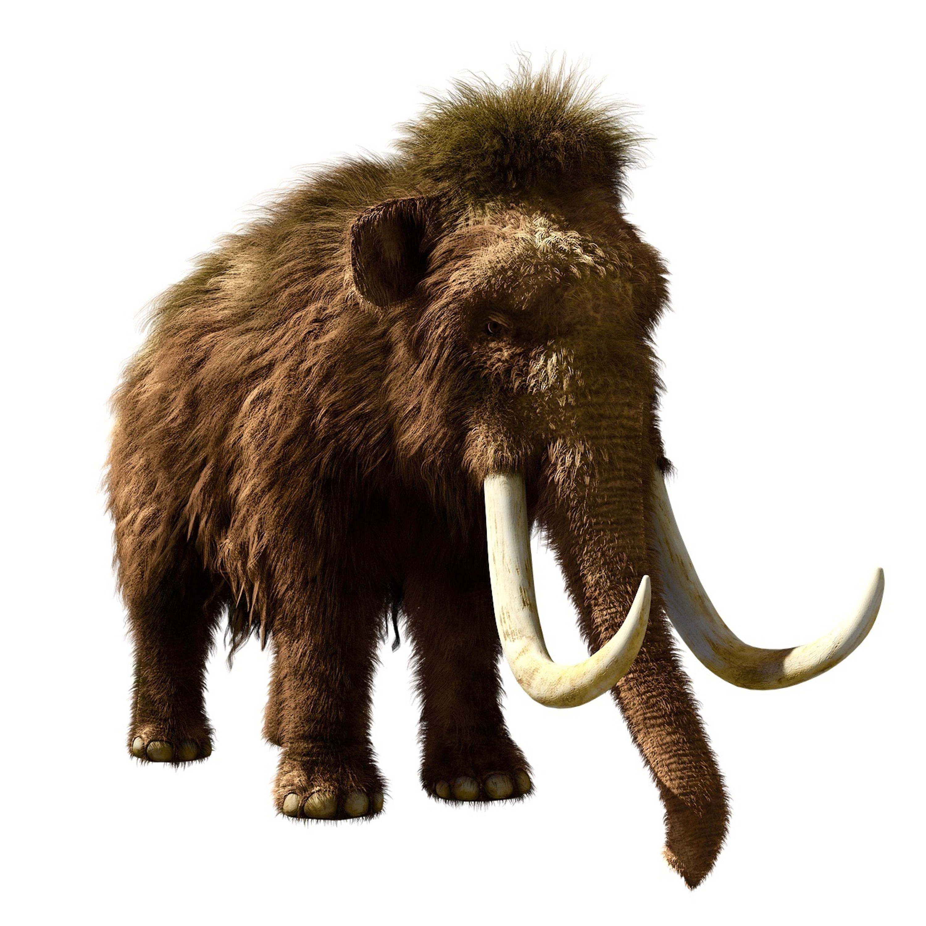 Ep.7 - Woolly Mammoth episode artwork