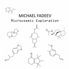 Michael Fadeev - Microcosmic Exploration