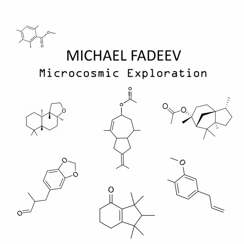 Michael Fadeev - Microcosmic Exploration