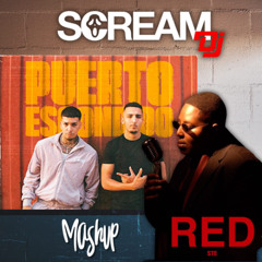 Ste x Young Cister & Morad - Red I Know what you Want x Puerto Escondido (Scream DJ MashUp)