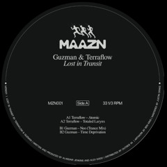[PREMIERE] Totaled Larynx - Terraflow | Maazn Records [2025]