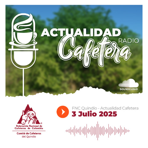 Actualidad Cafetera 3 de julio