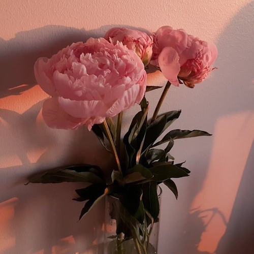 Sobre lo que has guardado (Pr 4:23)