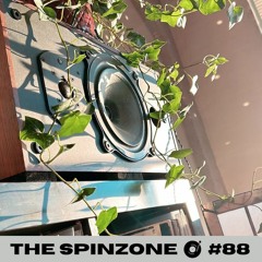 McG | The Spinzone #88