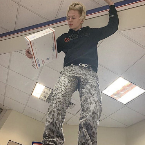 weiland - higher (snippet)