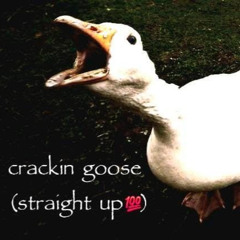 Crackin Goose (Straight up 💯) ft.prod.Stage4Caner