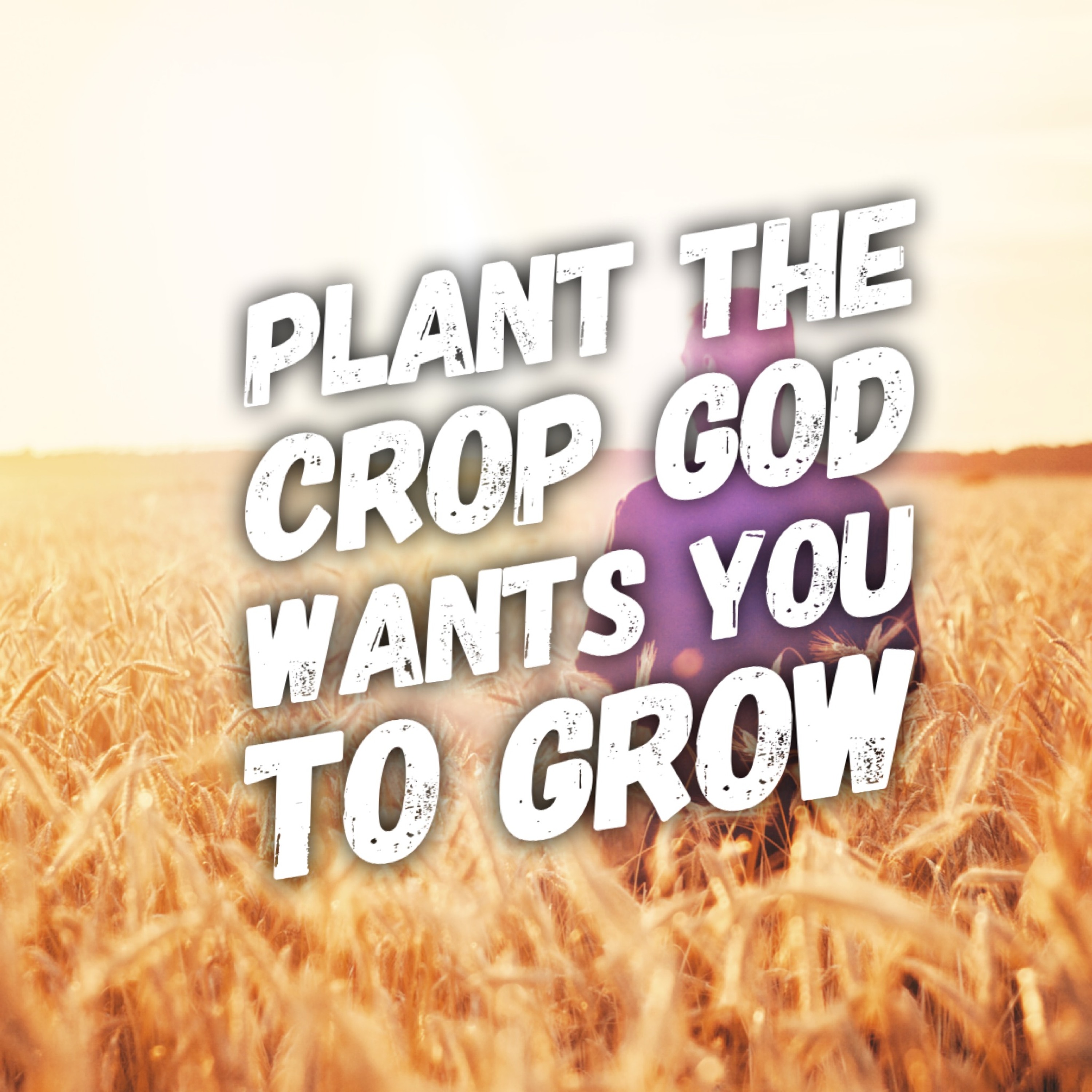 4/30/23 - Plant The Crop God Wants You To Grow episode artwork