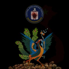 CIA Assassinations, Anticommunism & the Phoenix Program w/ Douglas Valentine