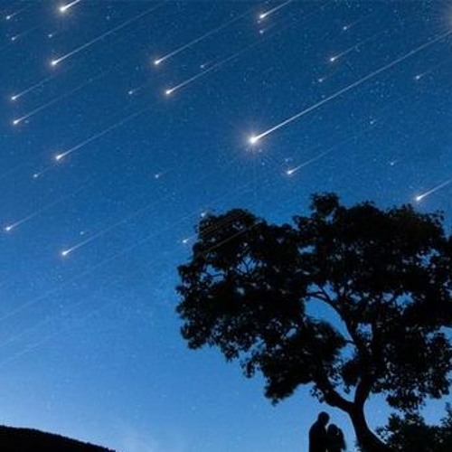 Meteorites