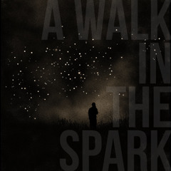 A Walk In The Spark (NLDR Jam)